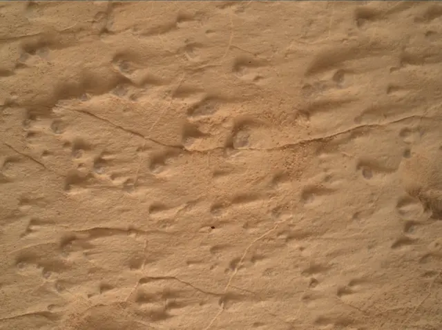 Sol 4995: Mars Hand Lens Imager (MAHLI)