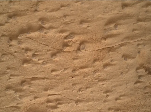 Sol 4995: Mars Hand Lens Imager (MAHLI)