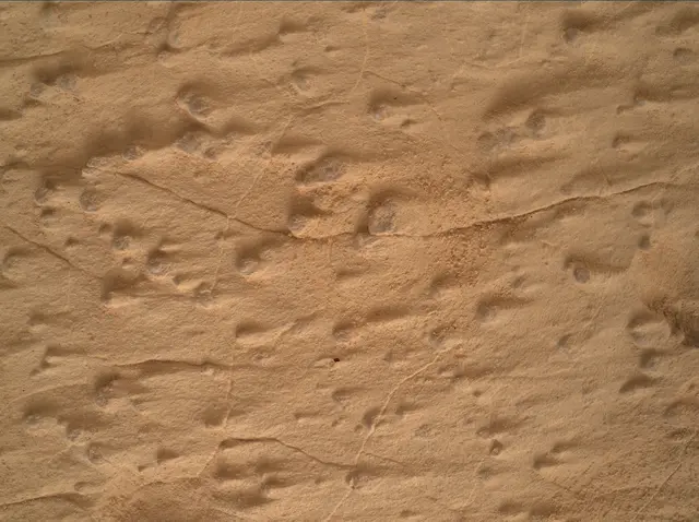 Sol 4995: Mars Hand Lens Imager (MAHLI)
