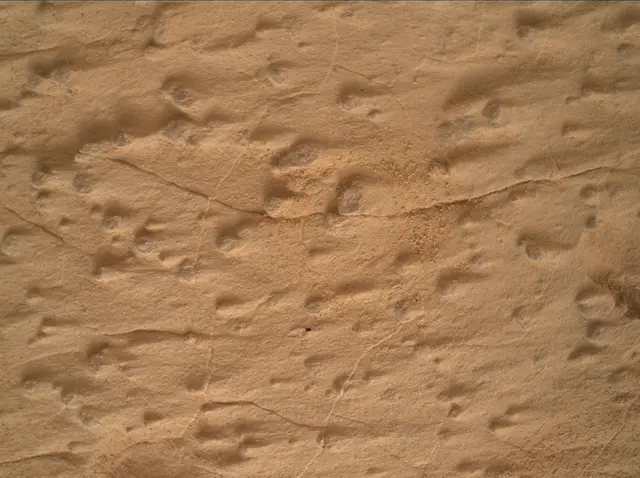 Sol 4995: Mars Hand Lens Imager (MAHLI)