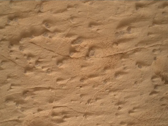 Sol 4995: Mars Hand Lens Imager (MAHLI)
