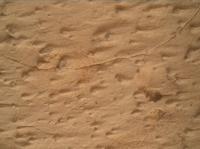 Sol 4995: Mars Hand Lens Imager (MAHLI)