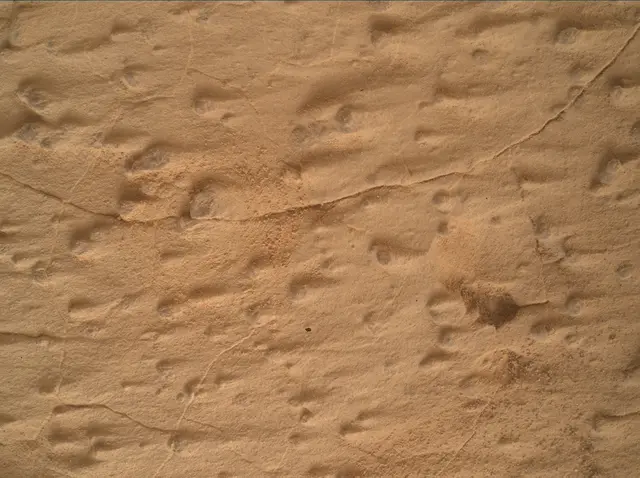 Sol 4995: Mars Hand Lens Imager (MAHLI)