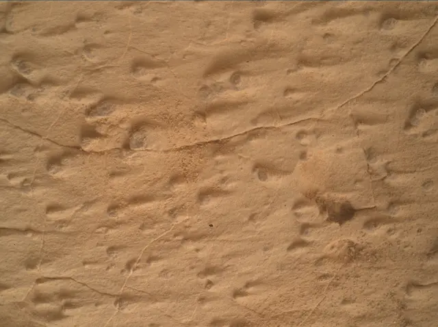 Sol 4995: Mars Hand Lens Imager (MAHLI)