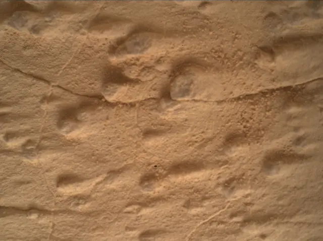 Sol 4995: Mars Hand Lens Imager (MAHLI)