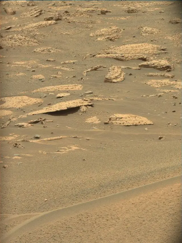 Sol 4996: Mast Camera (Mastcam)