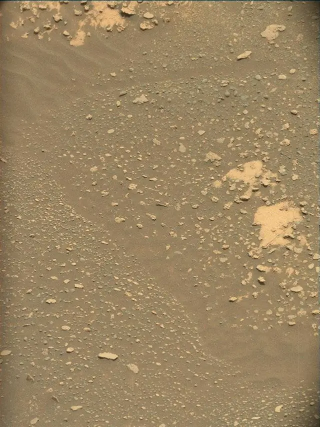Sol 4996: Mast Camera (Mastcam)