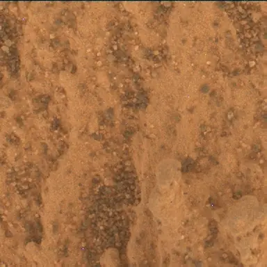 Sol 4997: Mars Hand Lens Imager (MAHLI)