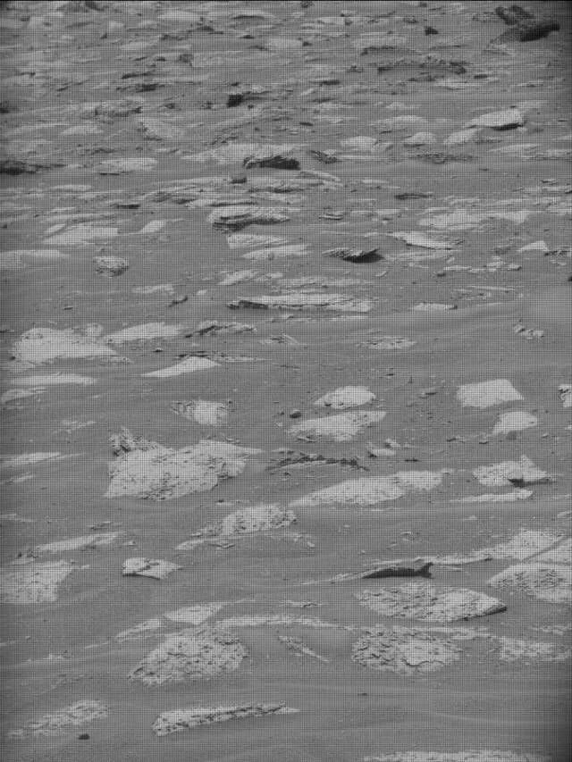Sol 5000: Mast Camera (Mastcam)