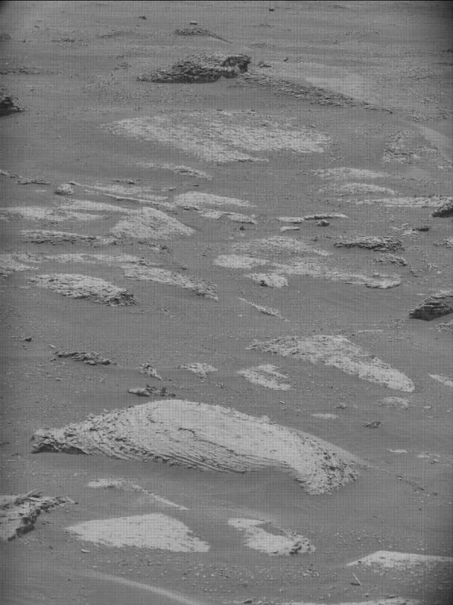Sol 5000: Mast Camera (Mastcam)