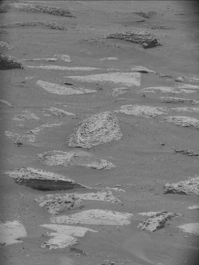 Sol 5000: Mast Camera (Mastcam)