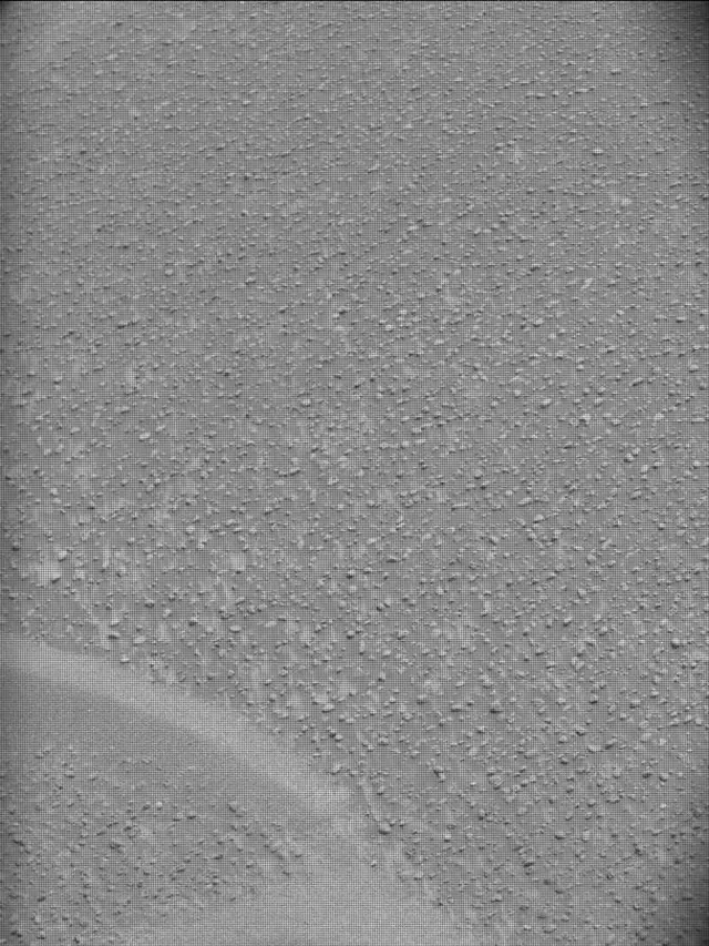 Sol 5000: Mast Camera (Mastcam)