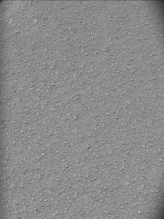 Sol 5000: Mast Camera (Mastcam)