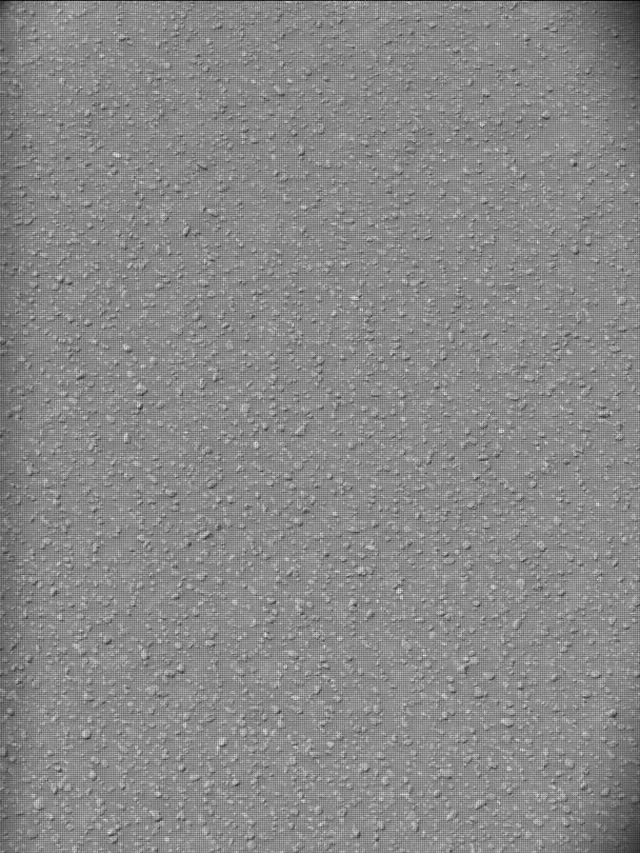 Sol 5000: Mast Camera (Mastcam)