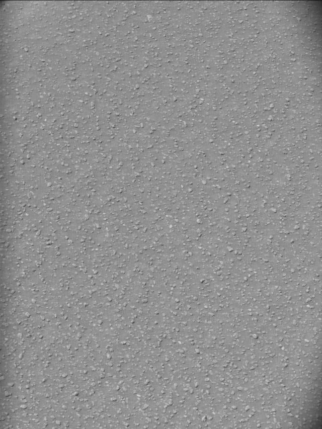Sol 5000: Mast Camera (Mastcam)