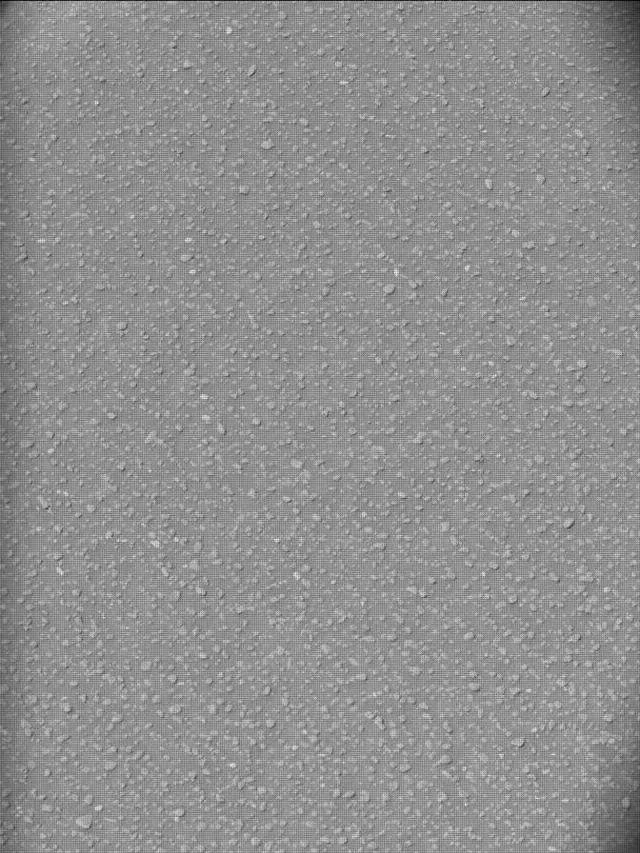 Sol 5000: Mast Camera (Mastcam)