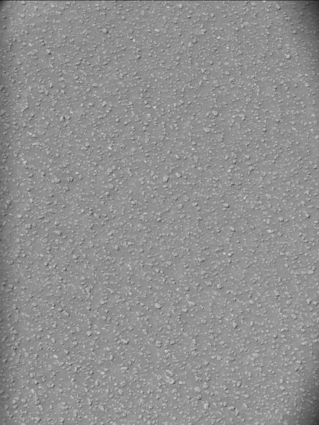 Sol 5000: Mast Camera (Mastcam)