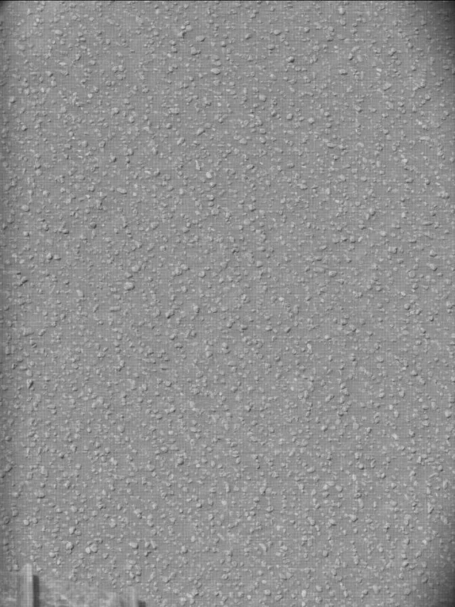 Sol 5000: Mast Camera (Mastcam)