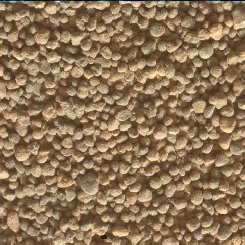Sol 5003: Mars Hand Lens Imager (MAHLI)