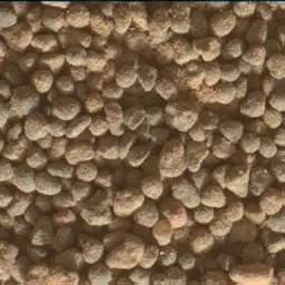 Sol 5003: Mars Hand Lens Imager (MAHLI)