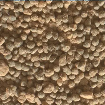 Sol 5003: Mars Hand Lens Imager (MAHLI)