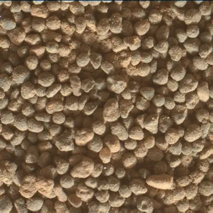 Sol 5003: Mars Hand Lens Imager (MAHLI)