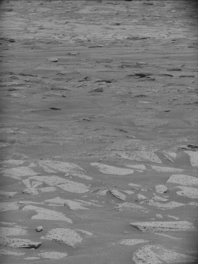 Sol 5004: Mast Camera (Mastcam)