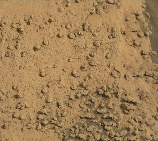 Sol 5004: Mast Camera (Mastcam)