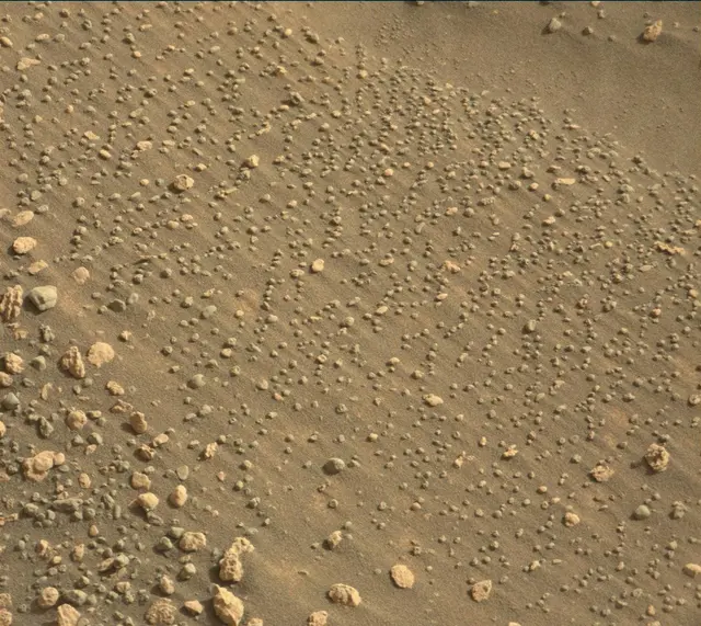 Sol 5004: Mast Camera (Mastcam)