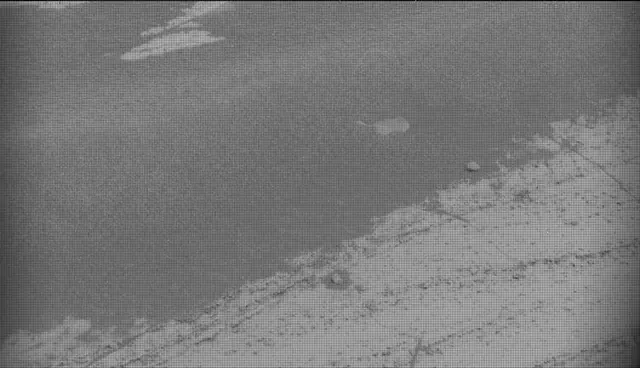 Sol 5025: Mast Camera (Mastcam)