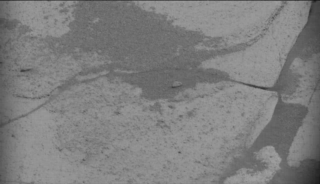 Sol 5025: Mast Camera (Mastcam)