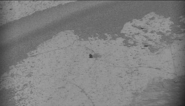 Sol 5026: Mast Camera (Mastcam)