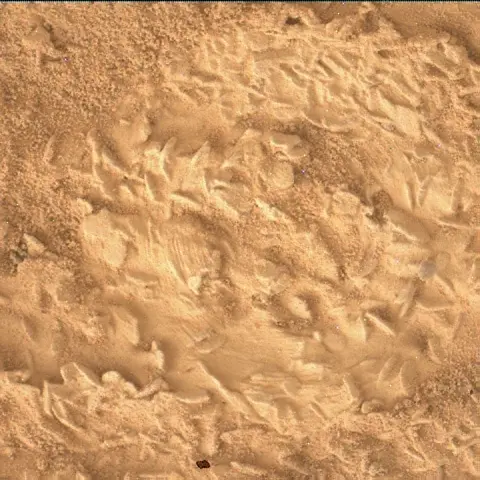 Sol 5047: Mars Hand Lens Imager (MAHLI)